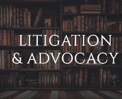 Litigation and Advocacy